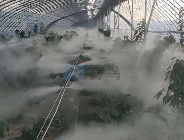 农业温室 / 畜牧养殖场大棚喷雾系统