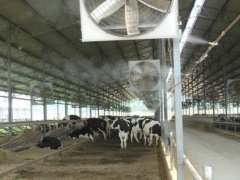  喷雾降温系统在畜牧业的应用