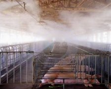 养殖场喷雾降温消毒除臭综合解决方案